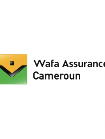 Logo cameroun 780x760